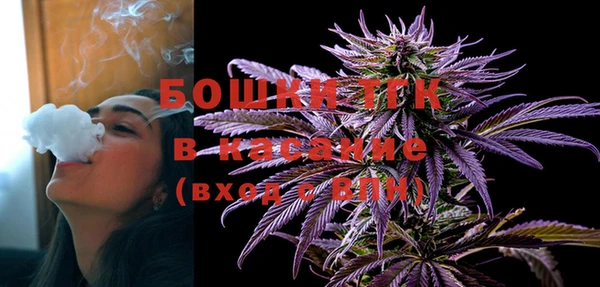спайс Кулебаки