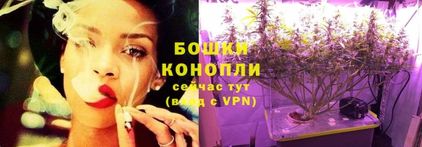 соль ск Кукмор