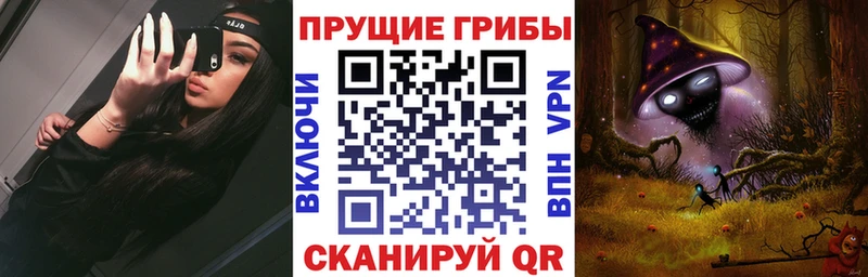 Купить Краснокамск Псилоцибиновые грибы Cubensis